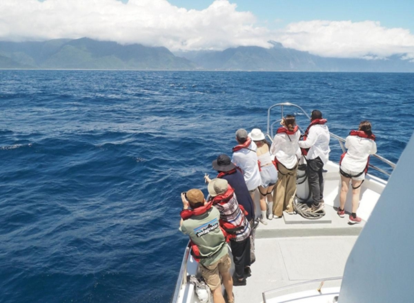 樂活日誌 - 2026樂齡旅遊補助攻略：國旅優惠、無障礙慢活行程推薦